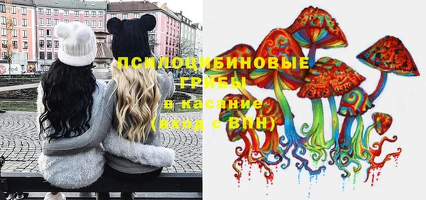 ешки Абаза