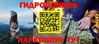 метадон Можга