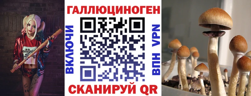 дарнет шоп  Сатка  Галлюциногенные грибы ЛСД 