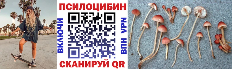 Галлюциногенные грибы Cubensis Сатка