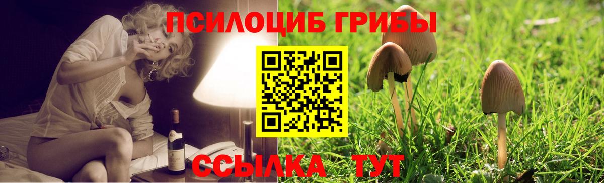 Псилоцибиновые грибы прущие грибы Сатка